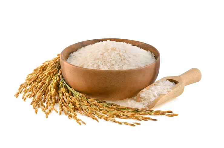 Rice